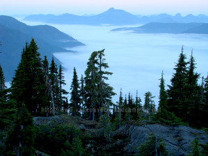 View of valley from Crest Mountain