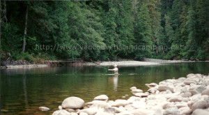 fly fishing for steelhead on the Gold River