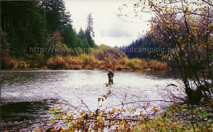 Fiishing for steelhead on the conuma river