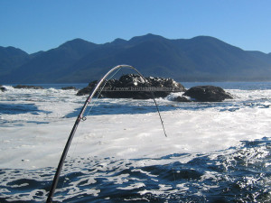 saltwater fishing in nootka sound