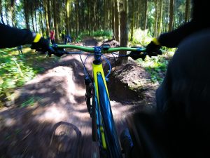 Gold River Mountain Biking