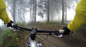 mountain biking in Gold River