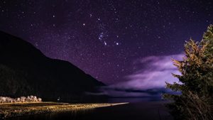 starlit gold river estuary