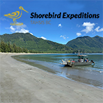image of the shorebird expeditions logo